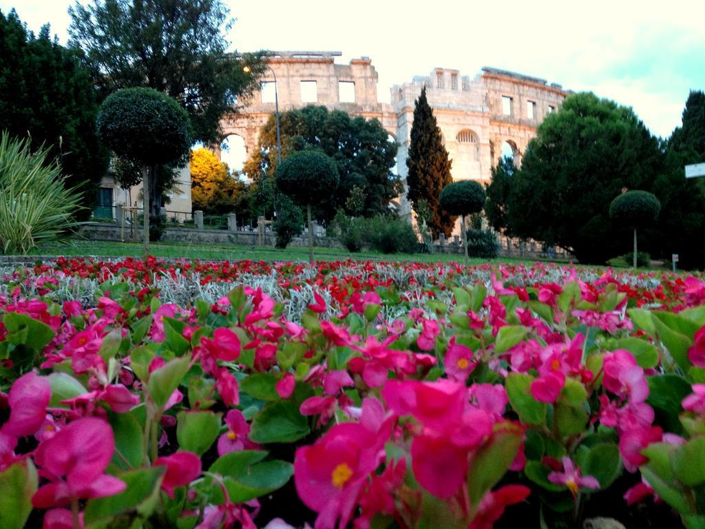 Amphitheater Apartment Pula Exterior foto